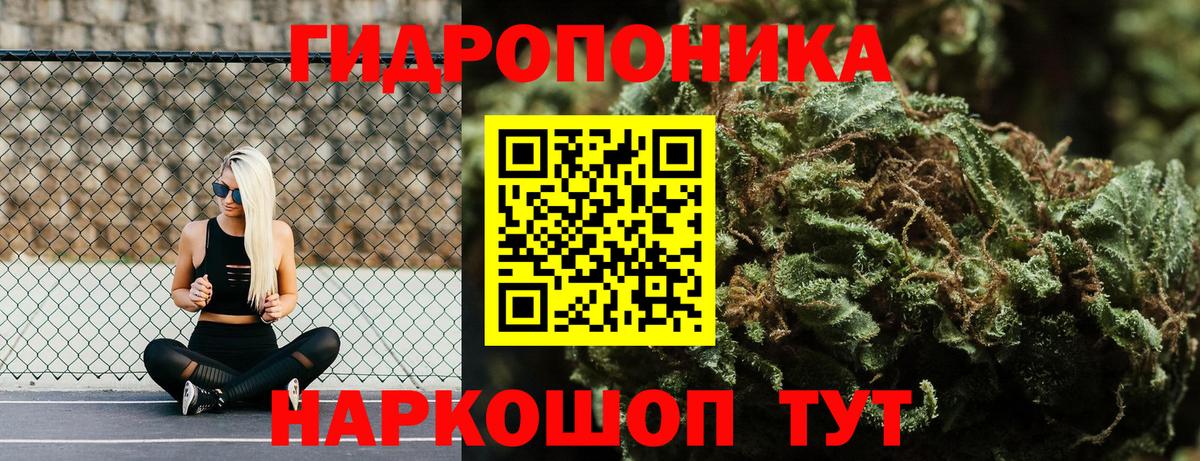 Шишки марихуана VHQ  Бошки марихуана гибрид  Вход с VPN  Калининград  Бошки Шишки AK-47  Шишки марихуана SATIVA & INDICA 